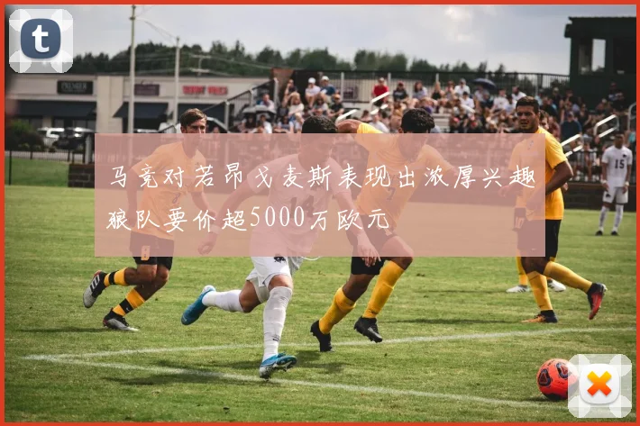 马竞对若昂戈麦斯表现出浓厚兴趣狼队要价超5000万欧元