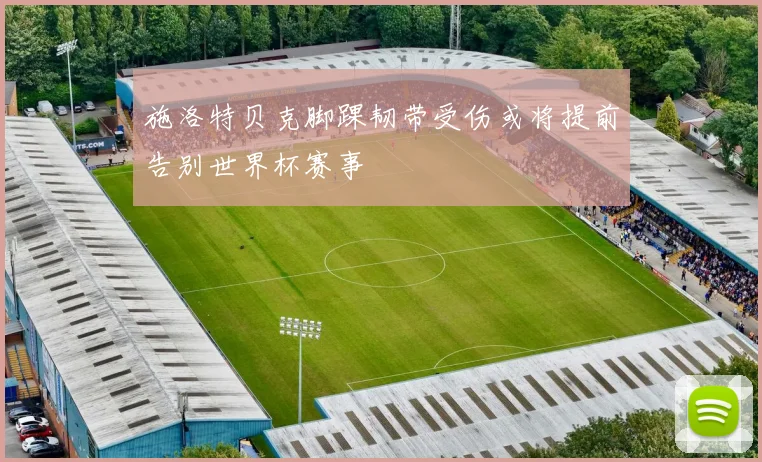 施洛特贝克脚踝韧带受伤或将提前告别世界杯赛事